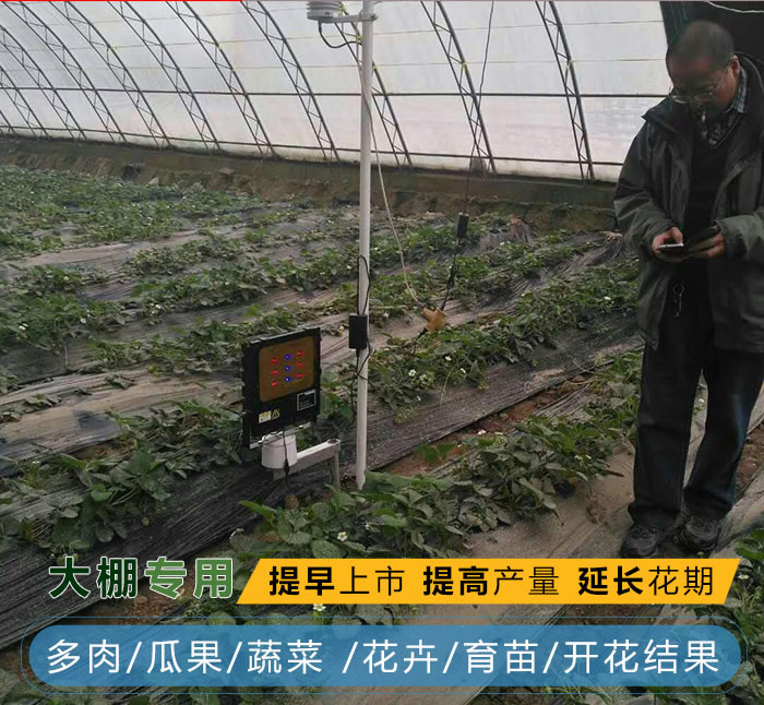 植物补光灯有用吗？