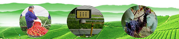 1606568969665361.jpg 01.jpg