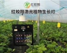 激光植物补光灯是什么光?