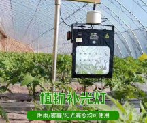 光照不足时，植物补光的必要性