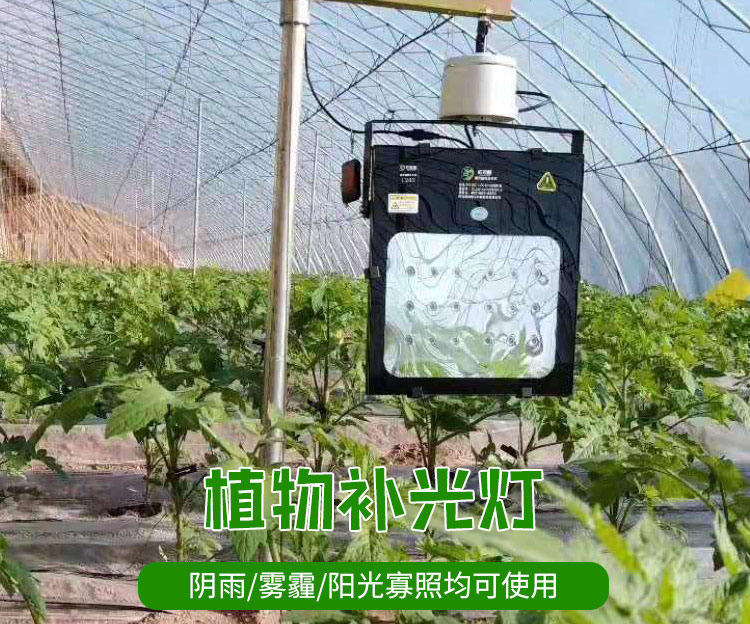 1606570501801664.jpg 02.jpg