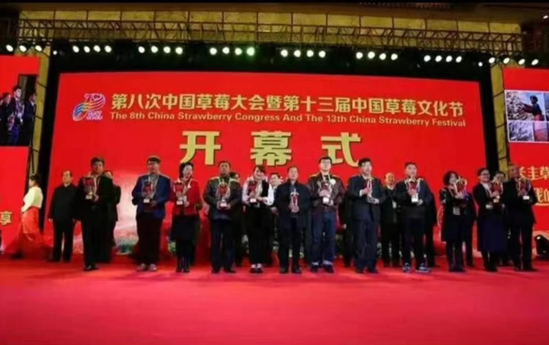 1606571051238738.jpg 01.jpg