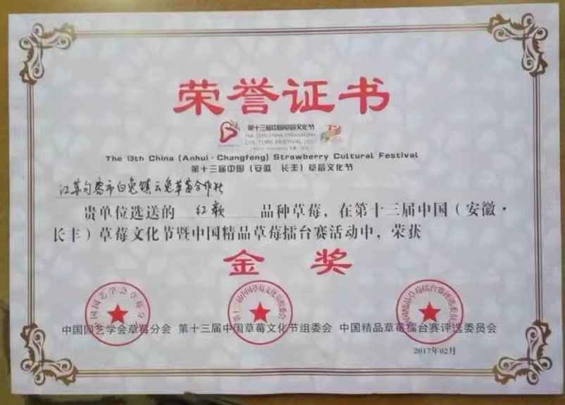 1606571058981244.jpg 02.jpg