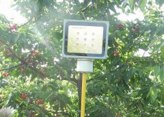 降温降雪又来了！做好这几点，保障蔬菜安全生