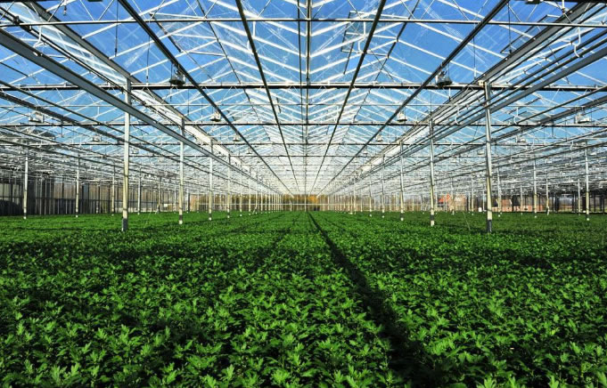 1606639446443307.jpg 02.jpg