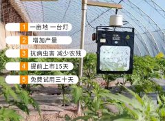 植物补光灯，给花卉大棚的发展保驾护航