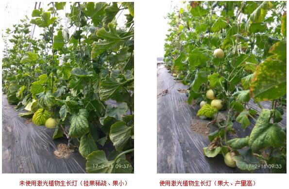 1606644893782086.jpg 01.jpg