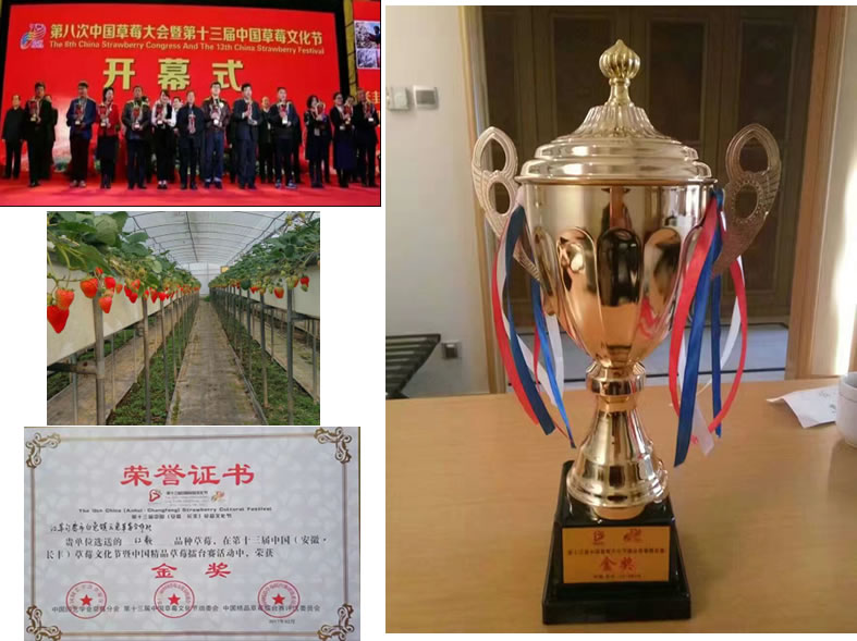 1606645394434689.jpg 01.jpg