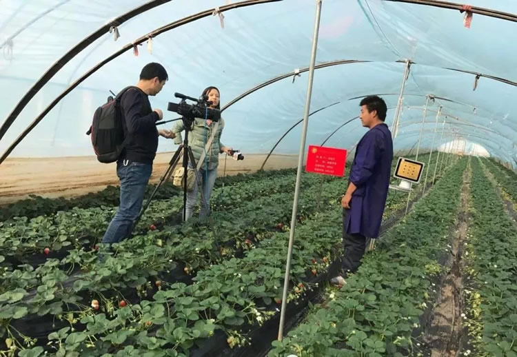 1606705282252716.jpg 01.jpg