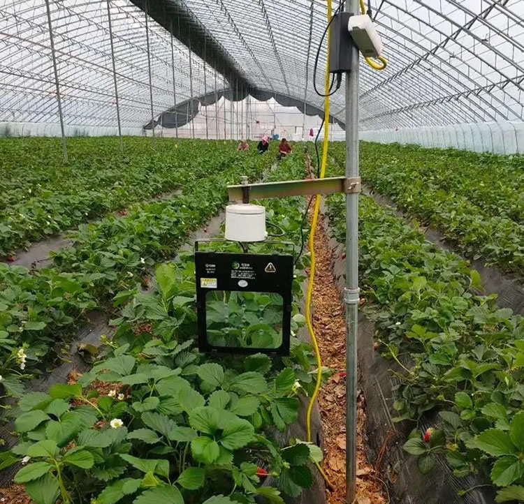 1606705292453033.jpg 02.jpg