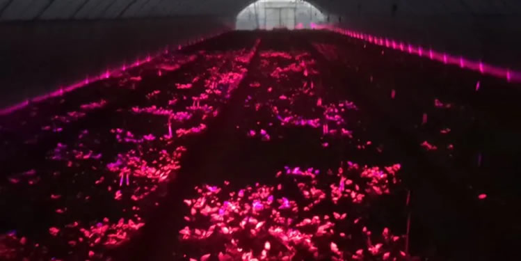 1606705299615073.jpg 03.jpg