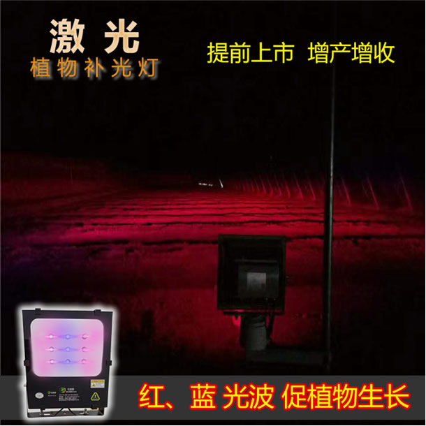 1606713522147054.jpg 01.jpg