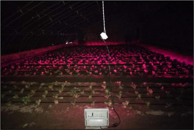 1606722848273481.jpg 09.jpg