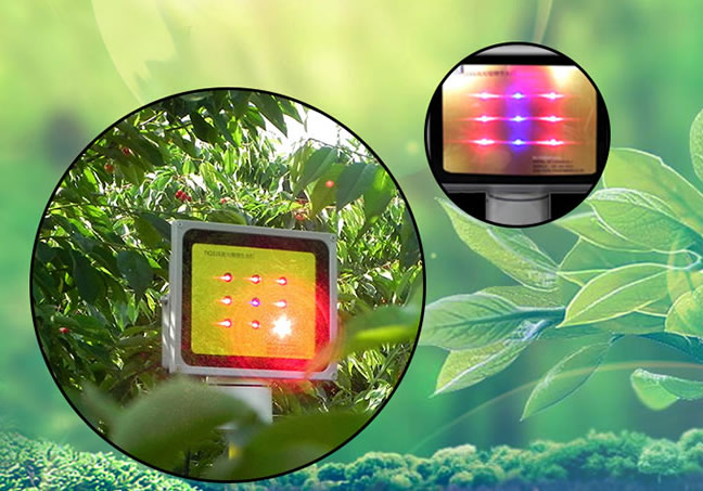 1606726762349277.jpg 01.jpg