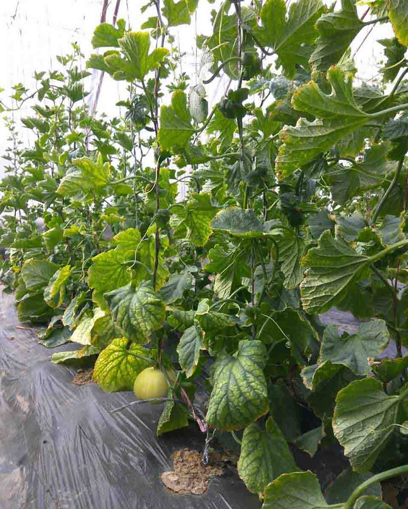 1606801629157048.jpg 01.jpg