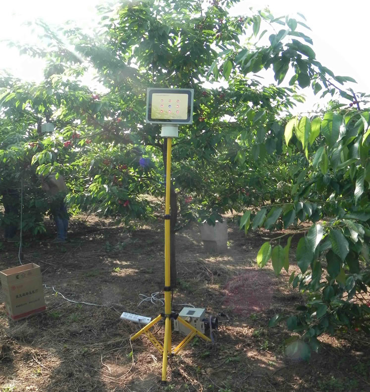 樱桃激光植物补光灯支架 樱桃激光植物补光灯支架