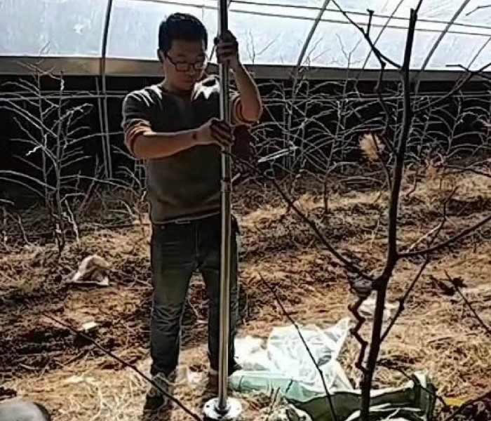 1607309246747433.jpg 01.jpg