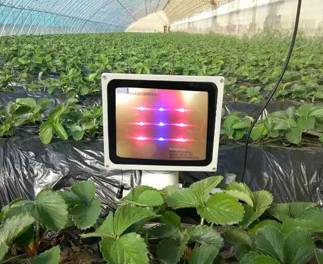 1607318448446101.jpg 03.jpg