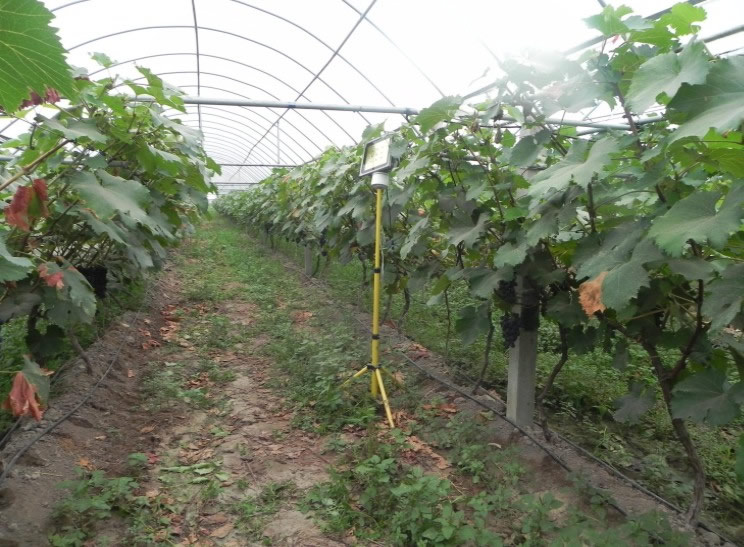 1607318474875772.jpg 06.jpg