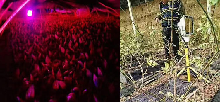 1607321438613832.jpg 12.jpg