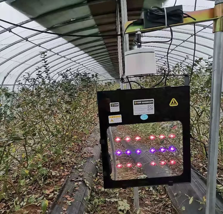 激光植物补光既能延长光照又能杀菌驱虫 激光植物补光既能延长光照又能杀菌驱虫