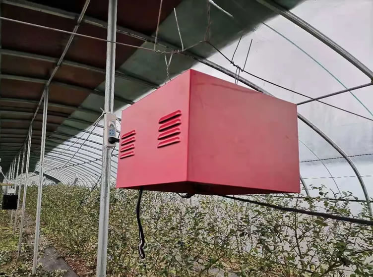 大棚内病害防治专家——空间电场 大棚内病害防治专家——空间电场