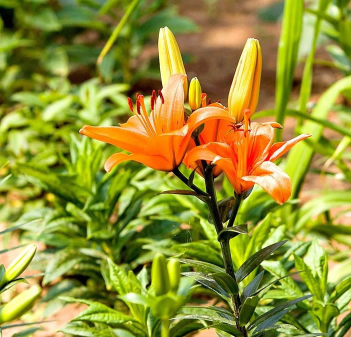 1607480177805609.jpg 02.jpg