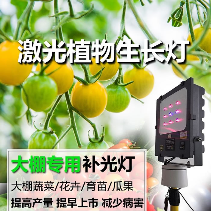 1607497404831440.jpg 02.jpg