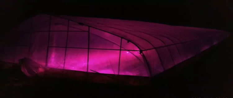 1607497416550481.jpg 03.jpg