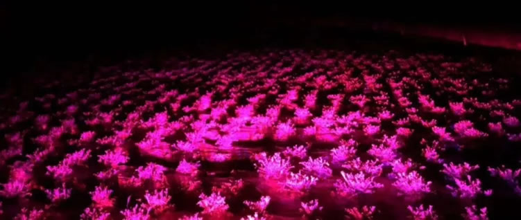 1607497423234178.jpg 04.jpg