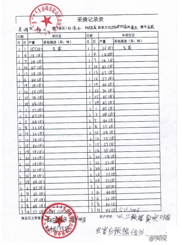 赤峰市松山区农牧业局黄瓜测试数据 赤峰市松山区农牧业局黄瓜测试数据