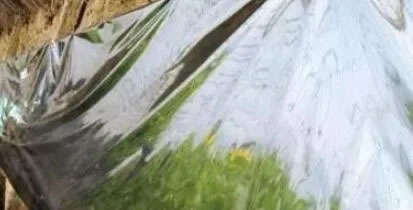 1607606707110272.jpg 02.jpg