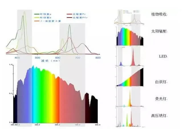 1607606715358358.jpg 03.jpg