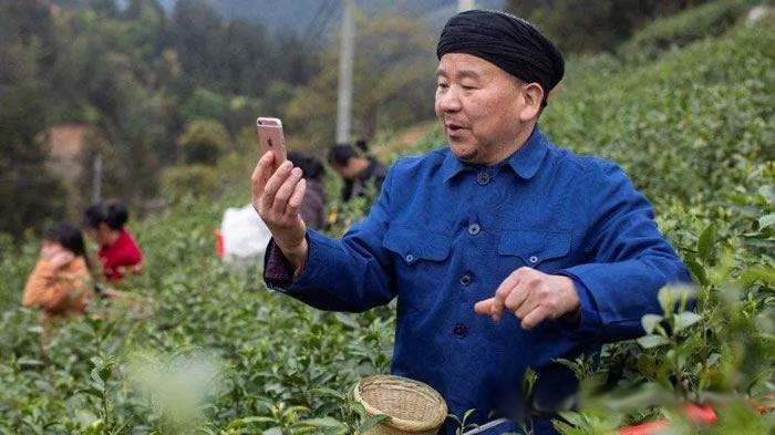 手机成为了农业新农具 手机成为了农业新农具