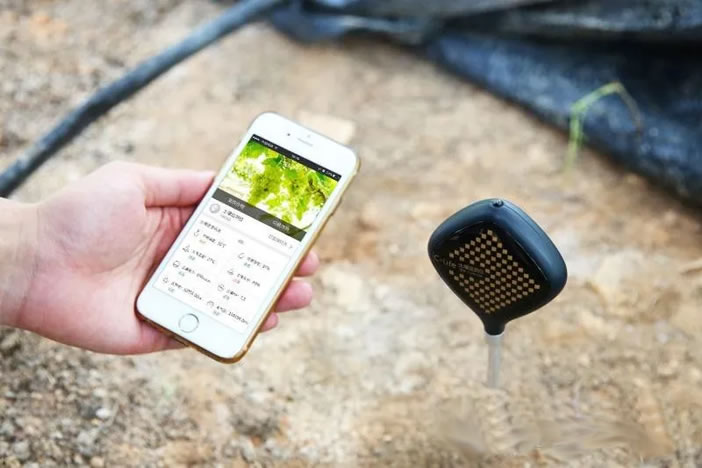 1607607257126733.jpg 02.jpg