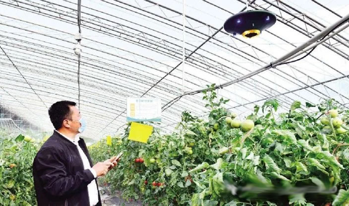 1607607267983329.jpg 03.jpg