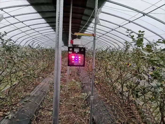 1607607277524879.jpg 04.jpg