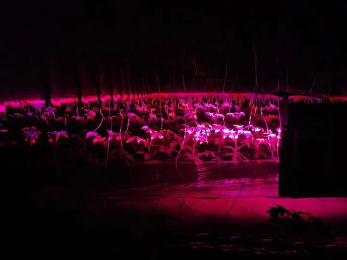 1607607301672612.jpg 05.jpg