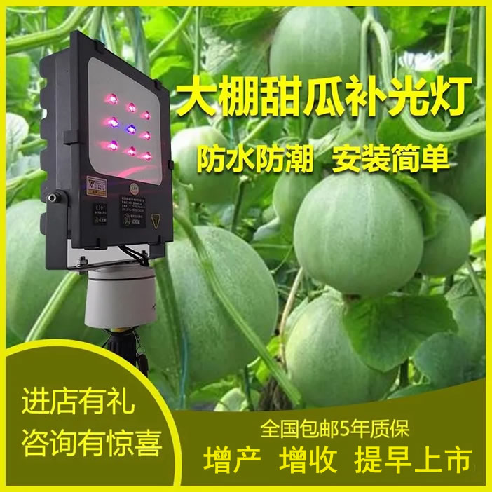 1607781499370855.jpg 02.jpg