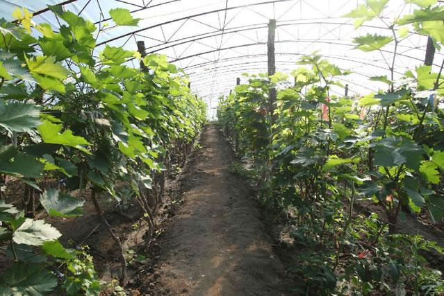 1608099829754981.jpg 03.jpg