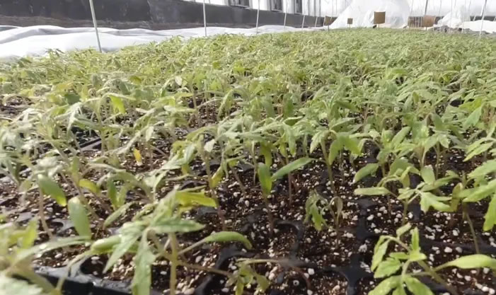 1608133201525614.jpg 01.jpg