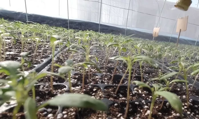 1608133208436994.jpg 02.jpg