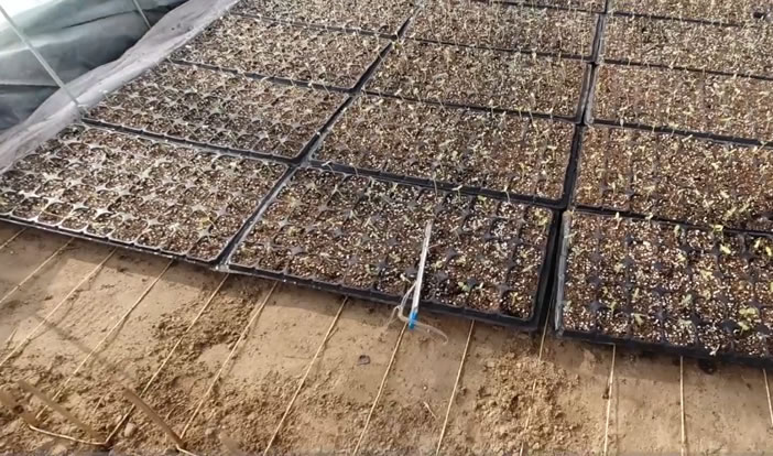 1608133216439607.jpg 03.jpg