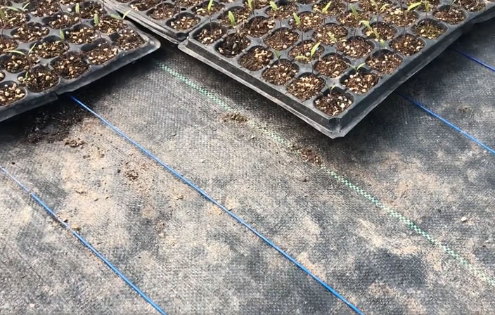 1608133224520957.jpg 04.jpg