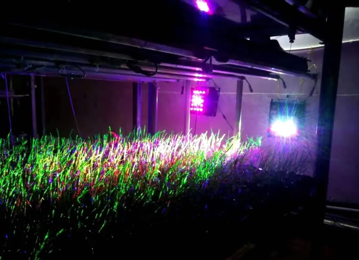 1608133242672036.jpg 06.jpg