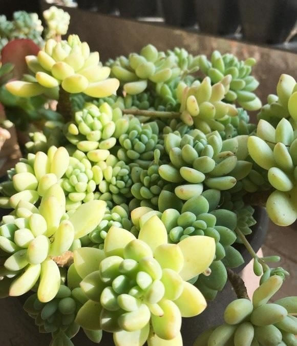 1608539779939480.jpg 02.jpg