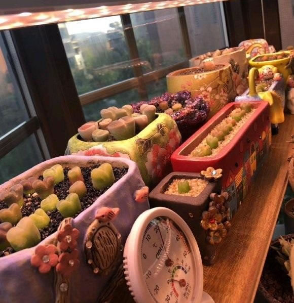 1608539826137958.jpg 06.jpg