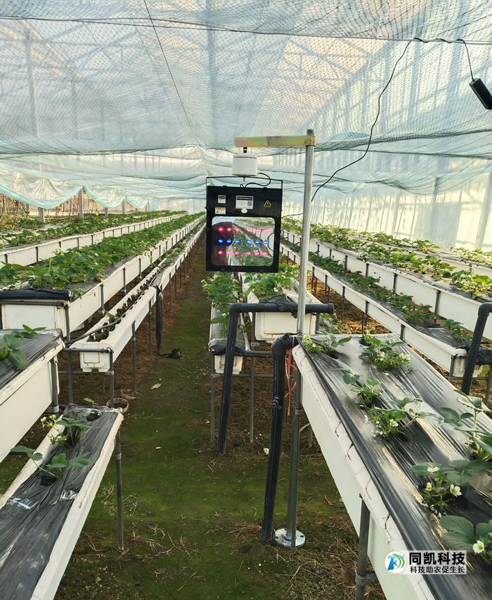 5fe065f83f173.jpg 01.jpg