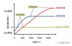 　到底是么样的灯才能给植物补光，植物补光灯到底起不