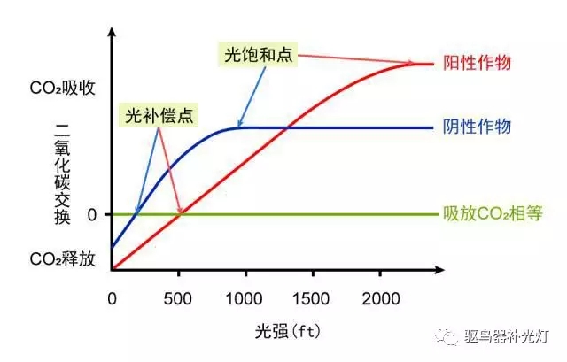 1609829655978137.jpg 640.webp.jpg